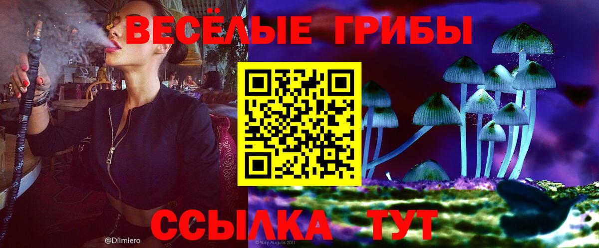 Улан-Удэ  дарнет шоп  Галлюциногенные грибы Magic Shrooms  Вход с VPN  Галлюциногенные грибы MAGIC MUSHROOMS 